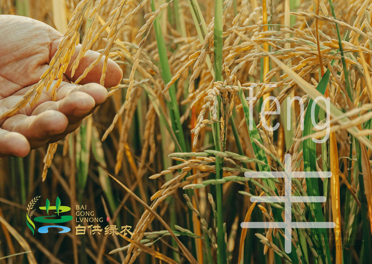 綠色品牌設計,農業(yè)品牌設計,公共品牌設計,公共品牌注冊 綠色品牌設計,農業(yè)品牌設計,公共品牌設計,公共品牌注冊